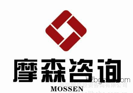 Feasibility Study Report for Vehicle Plastic Parts Project – Lu Mosen Consulting
