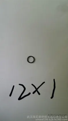 Hai Shi Li De D12*1 Rubber O-Ring