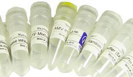 Xyloglucal dimethyl ether/Virgulinol aldehyde/Vanillin methyl ether