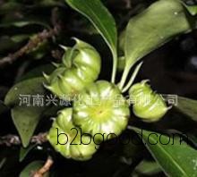 Fenugreek extract, star anise extract, anethole, anisaldehyde.