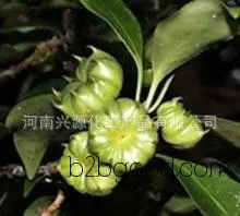 Fenugreek extract, star anise extract, anethole, anisaldehyde.