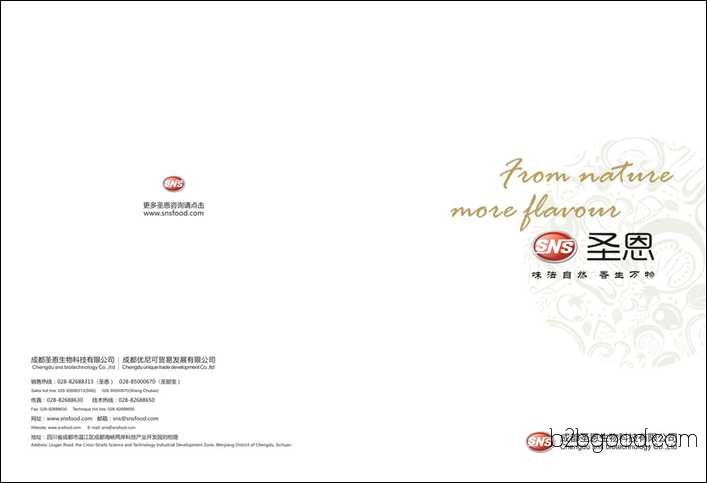 Graphic Design Saint Grace Album