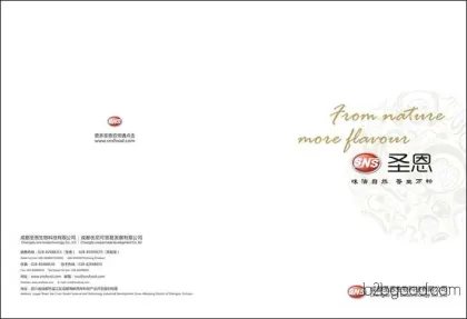 Graphic Design Saint Grace Album