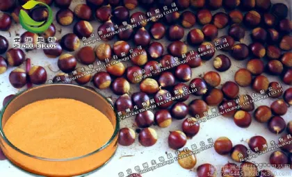 Saw Palmetto fatty acids, pure natural plant extract, high-quality product, guaranteed quality