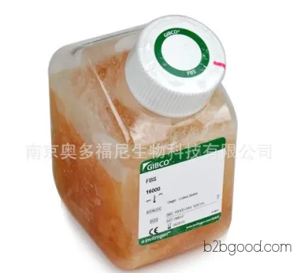 Glyceraldehyde 3 phosphate dehydrogenase/3-phosphoglycerate dehydrogenase/GAPDH