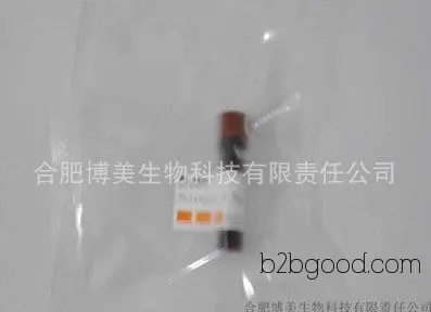 (GAPDH) Glyceraldehyde 3 phosphate dehydrogenase/3-phosphoglyceraldehyde dehydrogenase