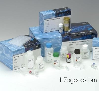 кролик глицеральдегид 3 фосфатов дегидрогеназы (gapdh) элиза комплект.
