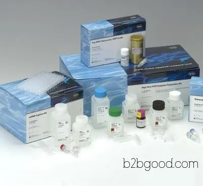 Rabbit Glyceraldehyde 3-Phosphate Dehydrogenase (GAPDH) ELISA Kit