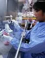 Technology 1,2,3,4 tetrafluorobenzene 551622 isopropyl titanate