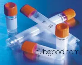 Carbohydrate Sulfotransferase 6 Antibody | CHST6 Antibody Manufacturer