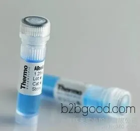 Carbohydrate Sulfotransferase 3 Antibody | CHST3 Antibody Manufacturer