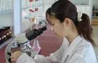Technology Cycloheptanone 2294760 78812319