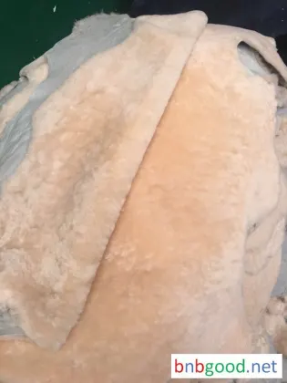 鞋里皮