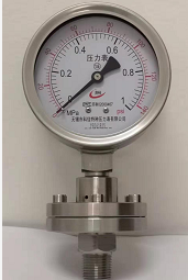 Stainless steel pressure gauge for petroleum drilling and chemical industry
