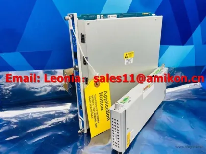 БЕНТЛИ-НЕВАДА 330709000050100200 PLC Module
