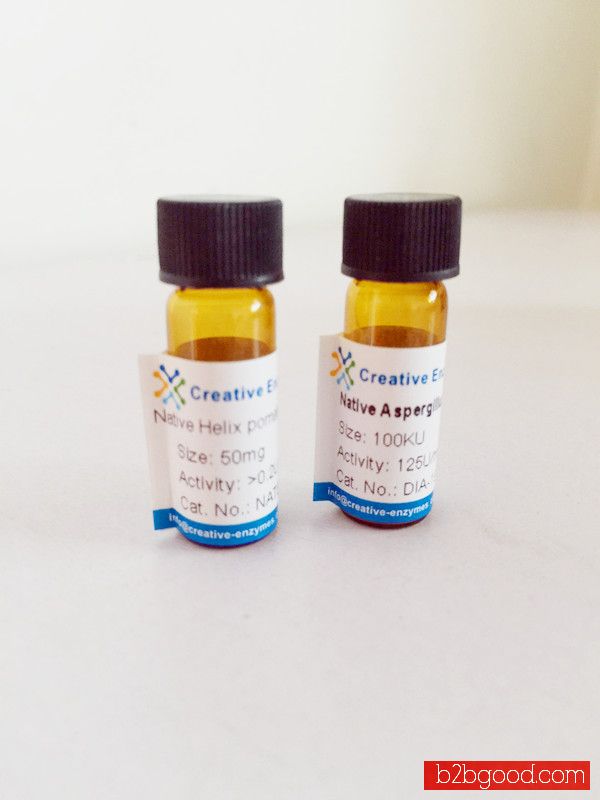 Fungal hemicellulase enzyme for flour