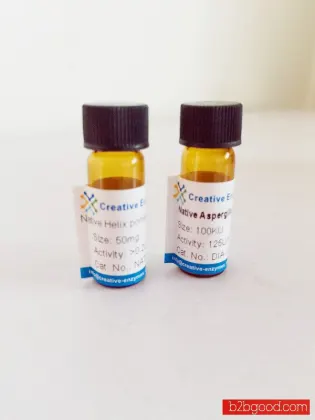 Xylanase for Mash Viscosity Reduction and Xylan hydrolysis