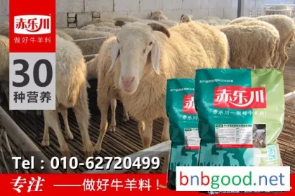 Chilechuan Y640 Rapid Fattening Feed for Fattening Sheep