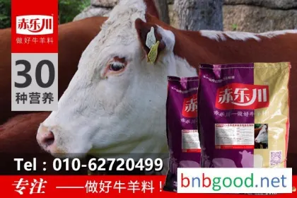 Chile Lechuan N650 Fattening Cattle Feed