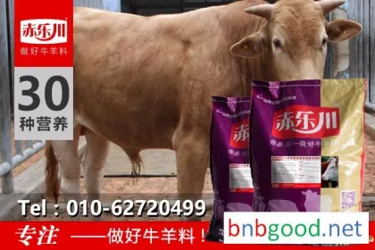 Chile Lechuan N650 5% beef cattle compound feed