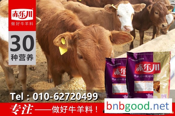 Chile N350 Simmental Rapid Feeder