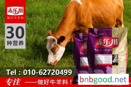 Chile Lechuan N650 5% Special Feed for Fattening Cattle