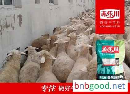Chilechuan Y640 Raised Sheep Fattening Feed
