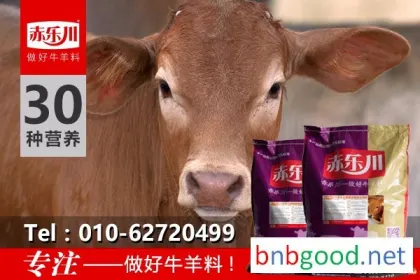 Chile Lechuan N350 sells calf feed