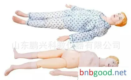 教学仪器，中学生物仪器，модель для ухода за больными