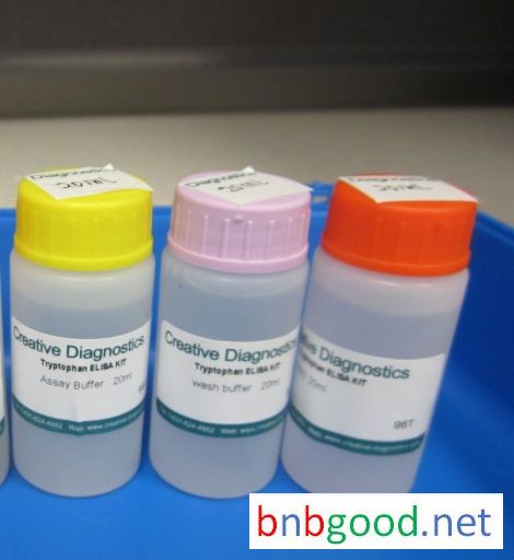 GAL4 ELISA Kit