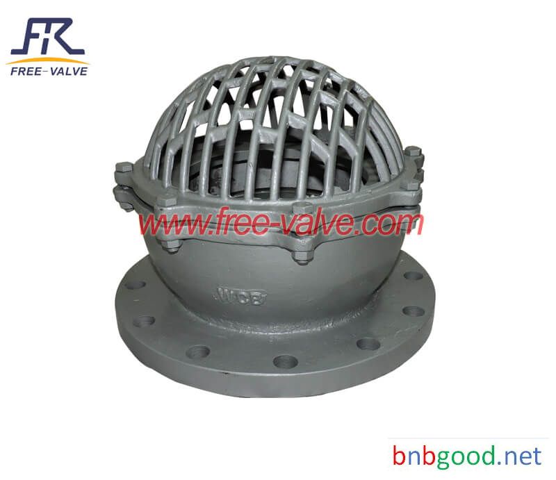 Stainless Steel Flanged Foot Valve with Strainer