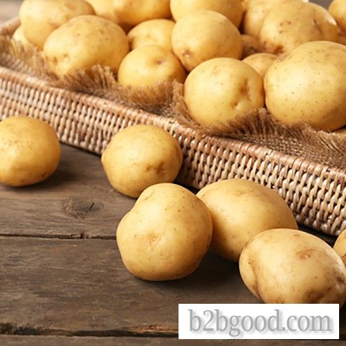 Chinese high quality potato