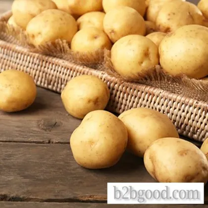 Chinese high quality potato