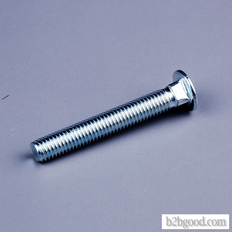 Used for medical rehabilitation equipment carriage bolts