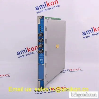Бентни Невада 3301010028100205 | Проксимитор Модуль
