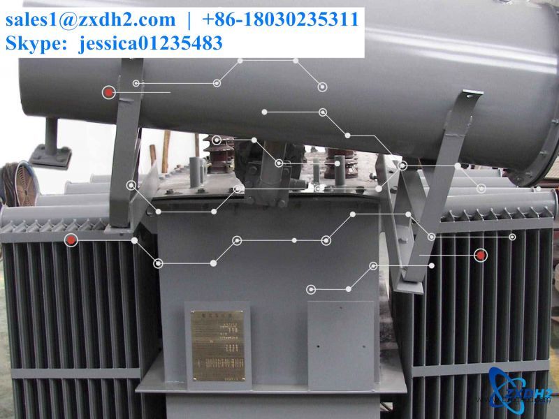 Alkaline electrolyzer with water electrolysis electrode