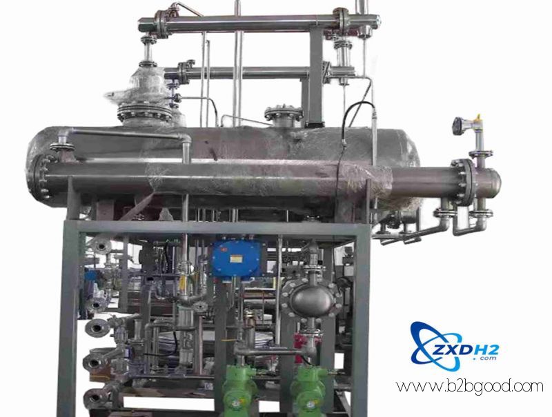 Hydrogen production plant by water electrolysis
