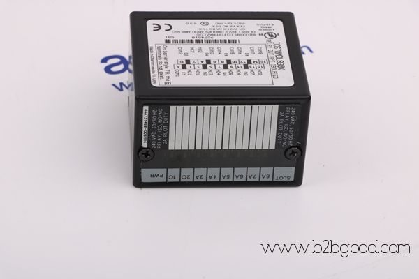 ОБЩИЙ ЭЛЕКТРИЧЕСКИЙ ДS200SHVMG1A / DS200SHVMG1A
