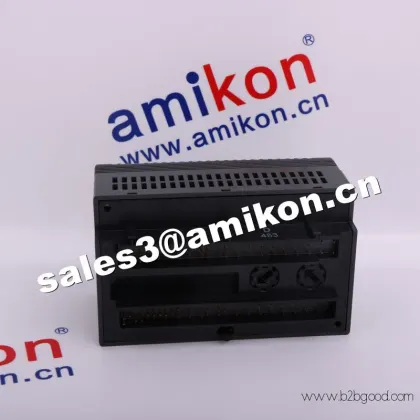 IC200PWR002