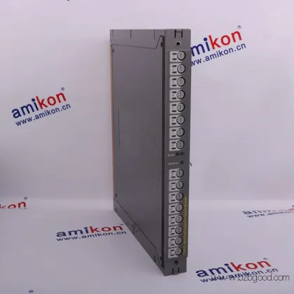 ICS TRIPLEX T810
