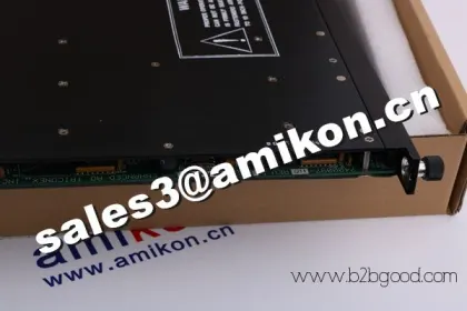TRICONEX 9674-810