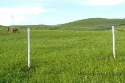 Квартирные ноты, покрытые фонарями