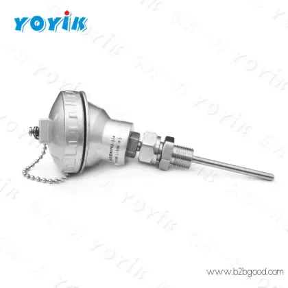 YOYIK Thermocouple WRNR2-12