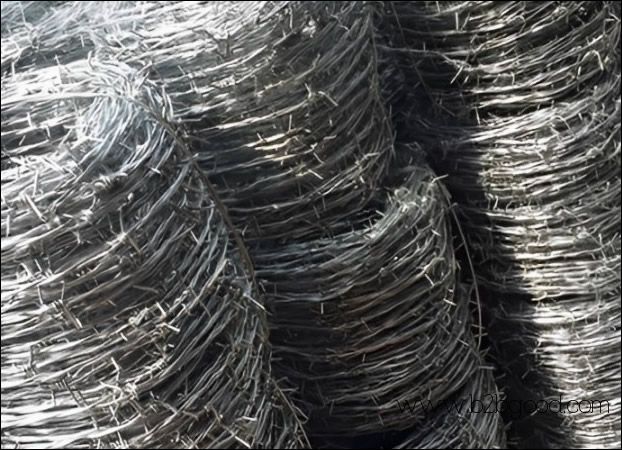 Barbed Wire