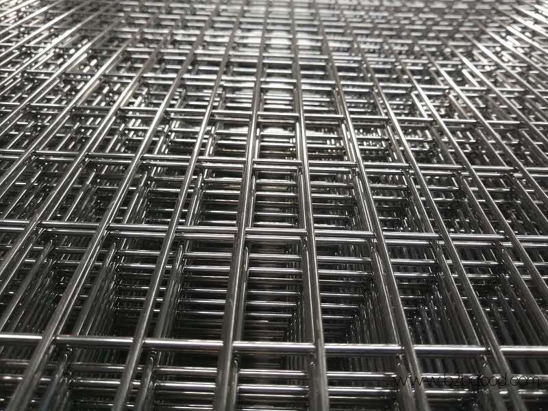 Welded Wire Mesh