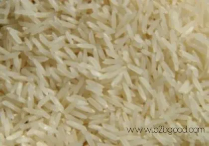 Rice IRRI-6