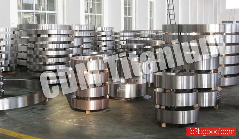 CDM Titanium ring,disc,casting
