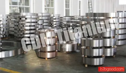 CDM Titanium ring,disc,casting