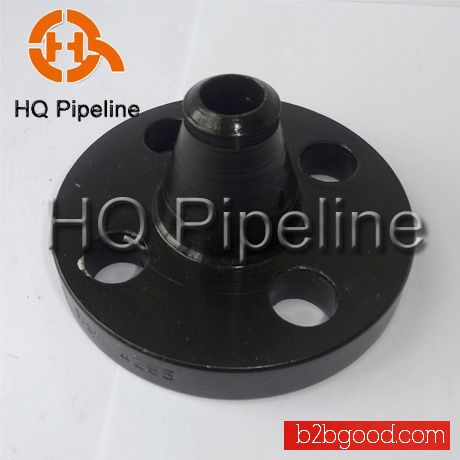 Stainless steel flanges